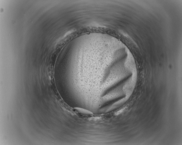 X0000085290870200703231830