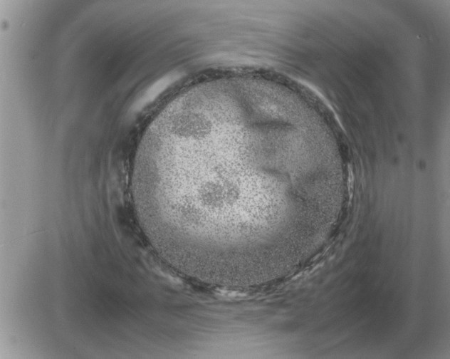 X0000085290871200703231830