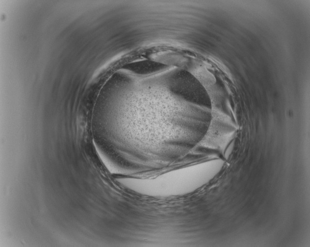 X0000085290872200703231830