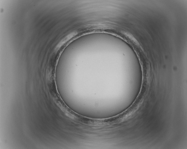 X0000085290873200703231830