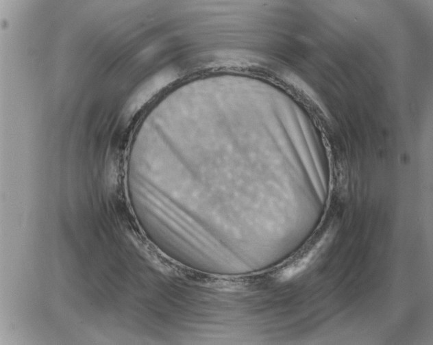 X0000085290874200703231830