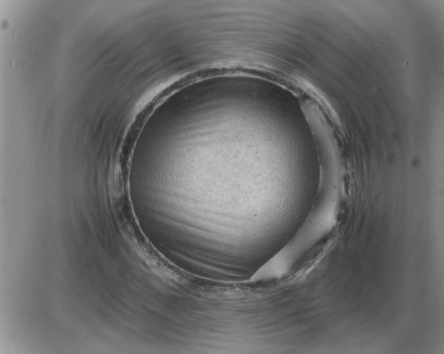 X0000085290876200703231830