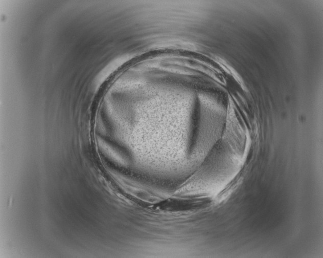 X0000085290877200703231830