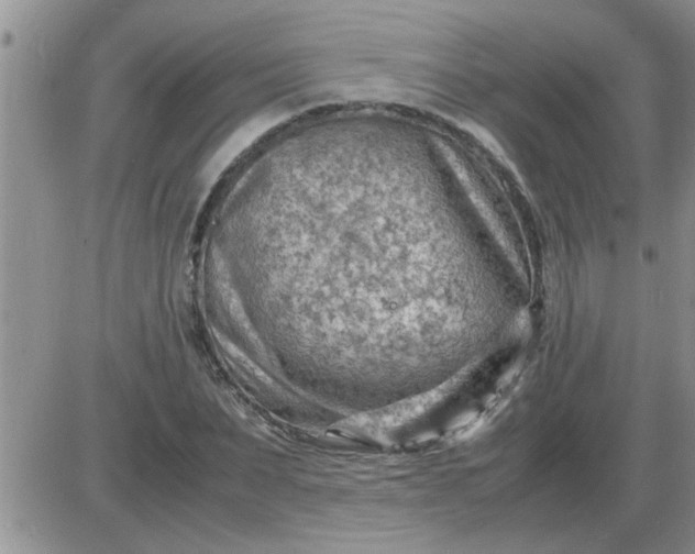 X0000085290879200703231830