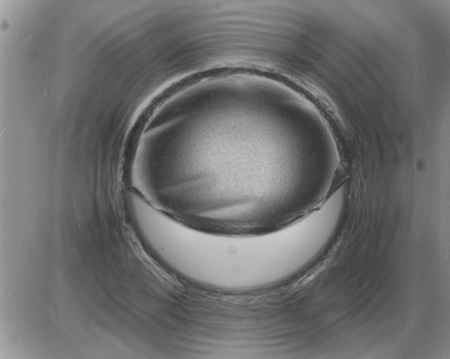 X0000085290880200703231830