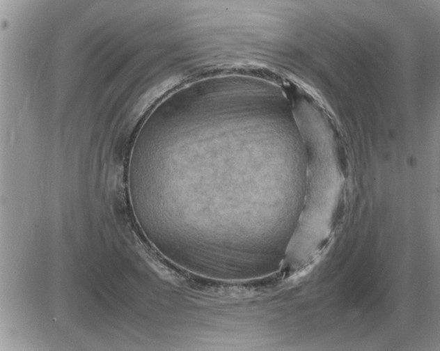 X0000085290881200703231830