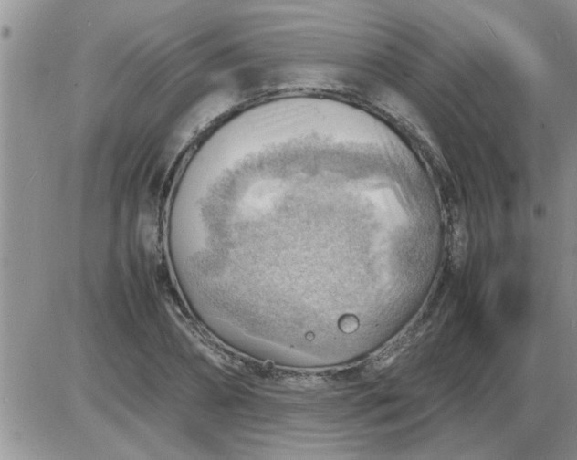 X0000085290882200703231830