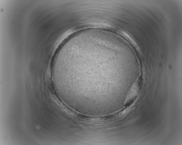 X0000085290883200703231830