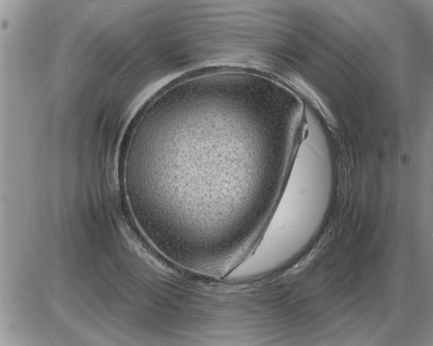 X0000085290884200703231830