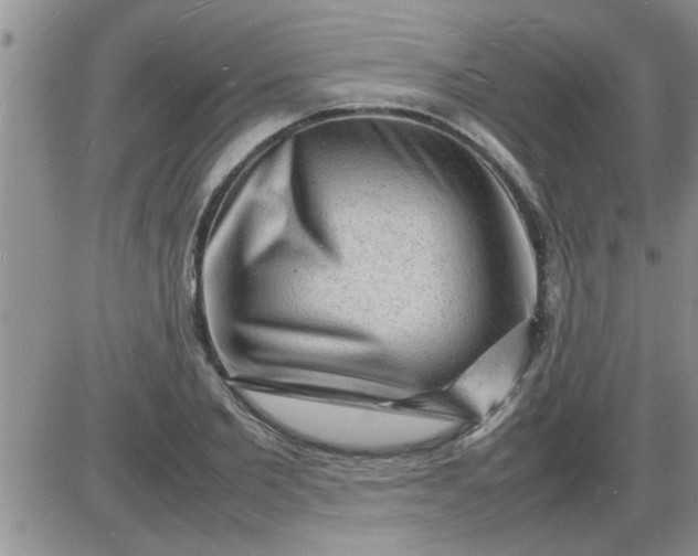 X0000085290885200703231830