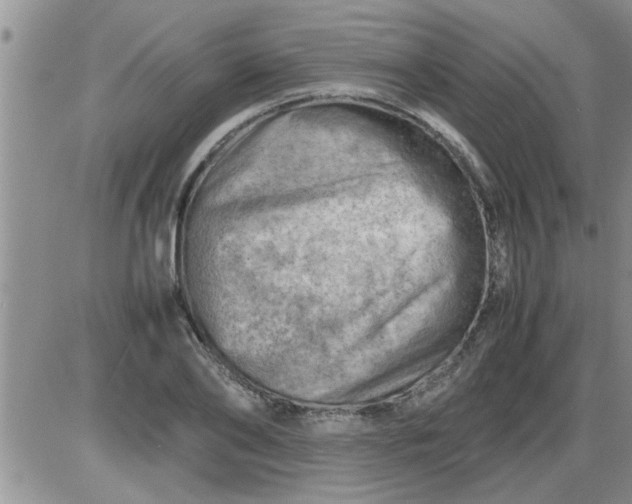 X0000085290886200703231830