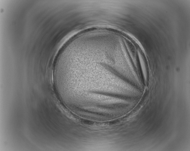 X0000085290887200703231830