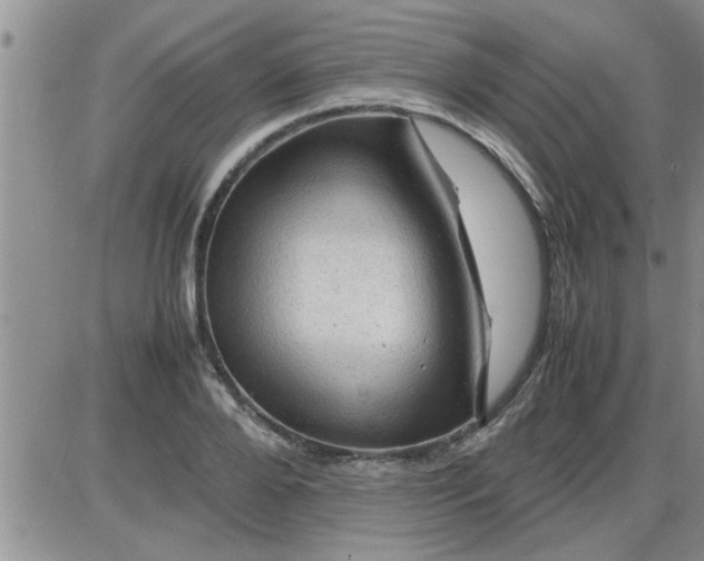 X0000085290888200703231830