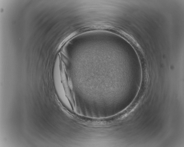 X0000085290889200703231830