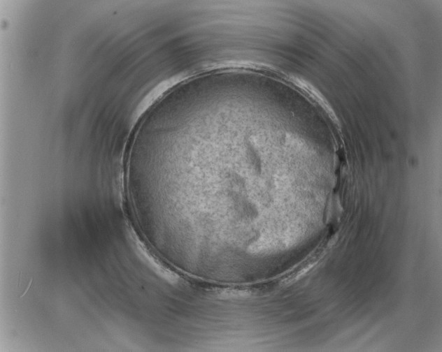 X0000085290890200703231830