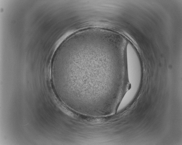 X0000085290891200703231830