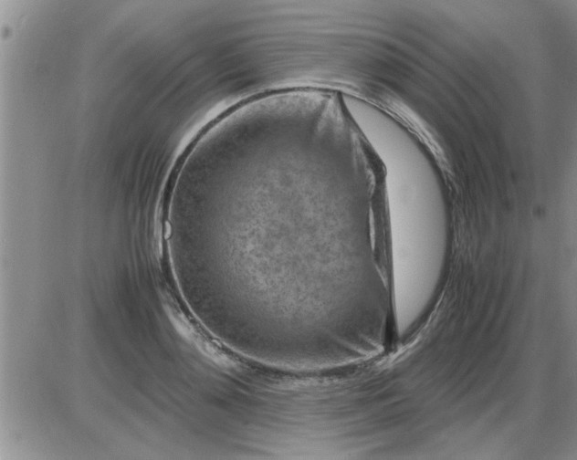 X0000085290892200703231830