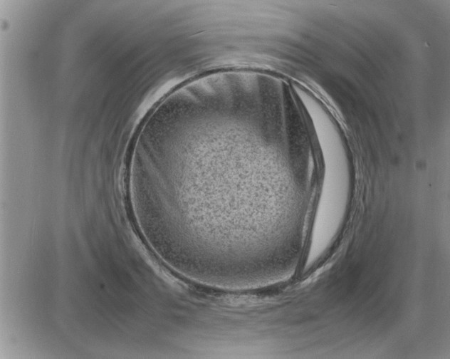 X0000085290893200703231830