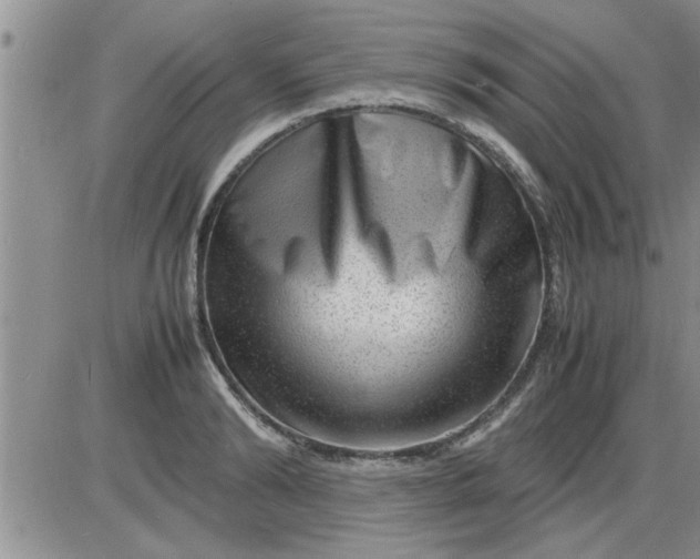 X0000085290894200703231830