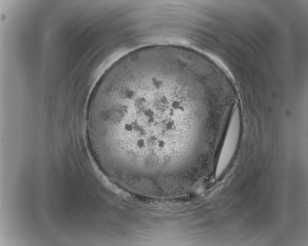 X0000085290895200703231830