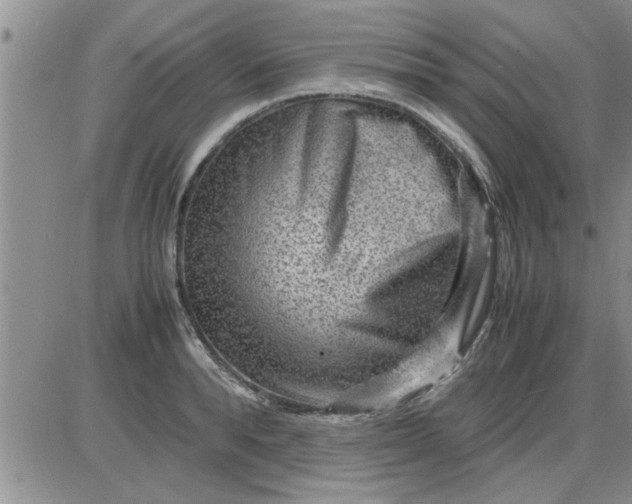 X0000085290896200703231830