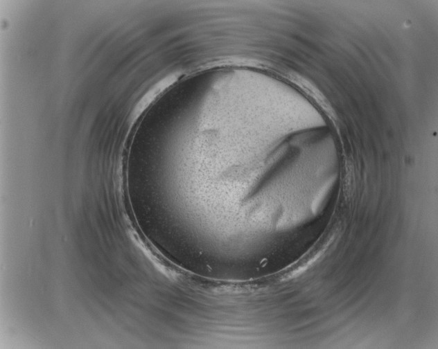 X0000085290898200703231830