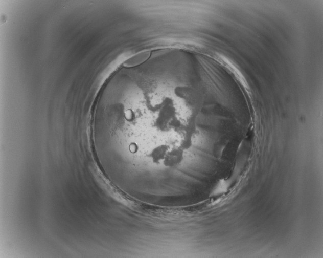 X0000085290899200703231830