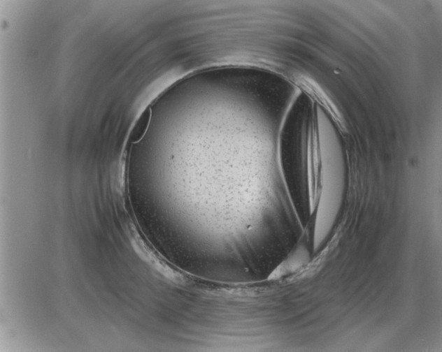 X0000085290900200703231830