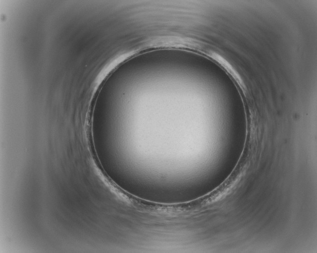 X0000085290901200703231830