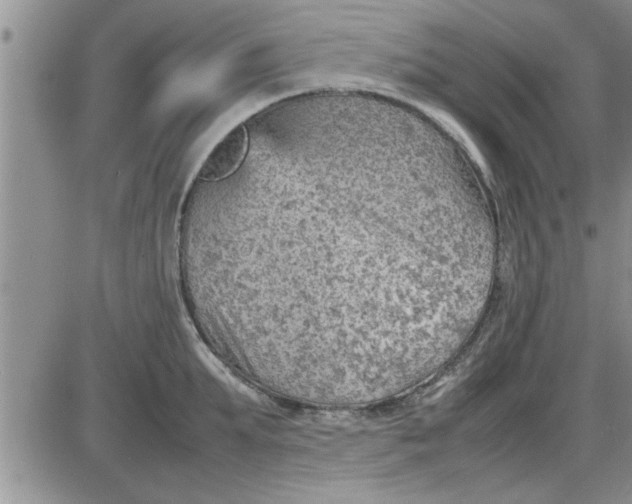 X0000085290903200703231830