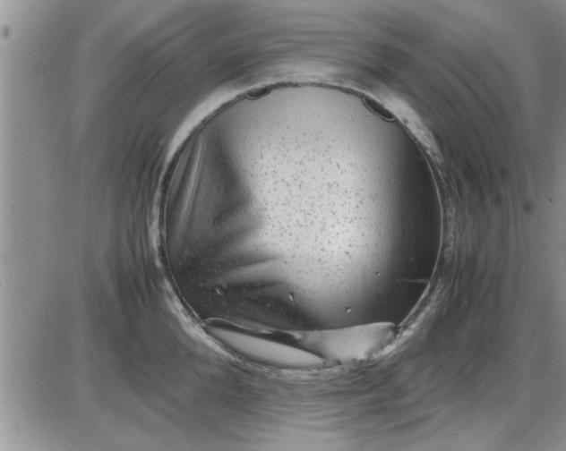 X0000085290904200703231829