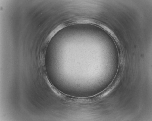 X0000085290905200703231829