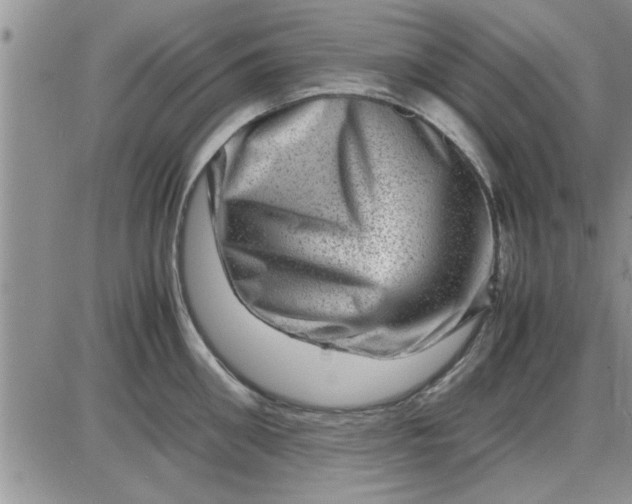 X0000085290906200703231829