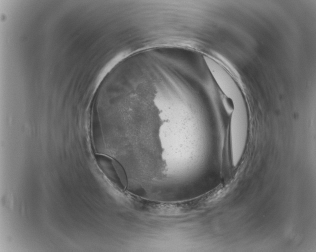 X0000085290907200703231829