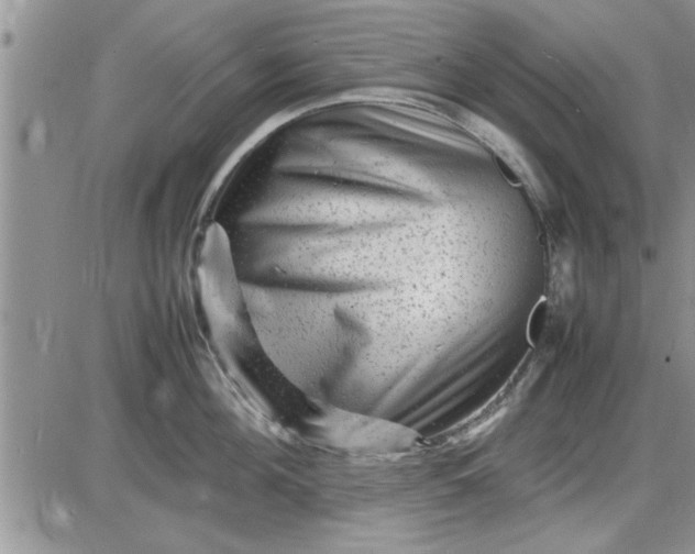 X0000085290908200703231829