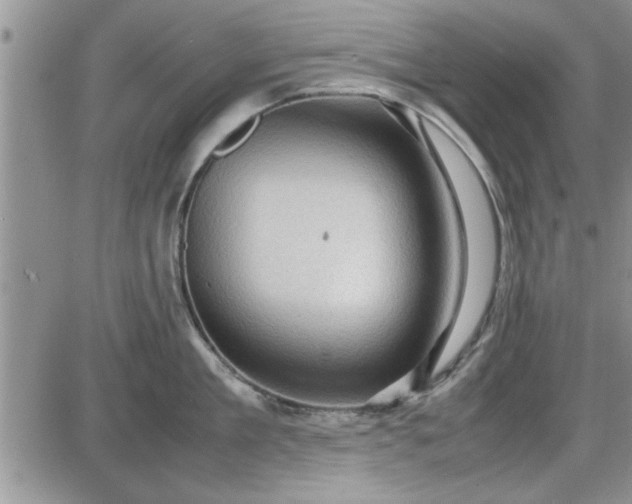 X0000085290909200703231829