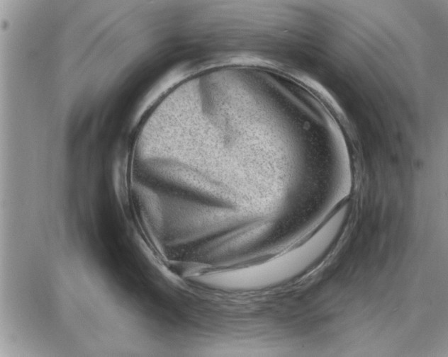 X0000085290910200703231829