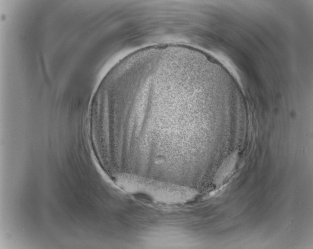 X0000085290911200703231829