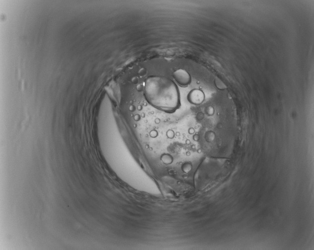 X0000085290913200703231829