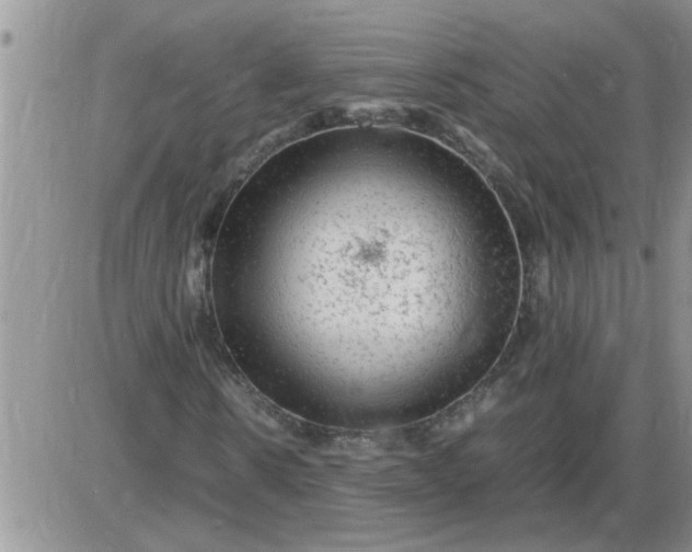 X0000085290914200703231829