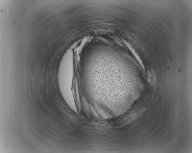 X0000085290915200703231829