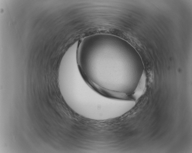 X0000085290916200703231829