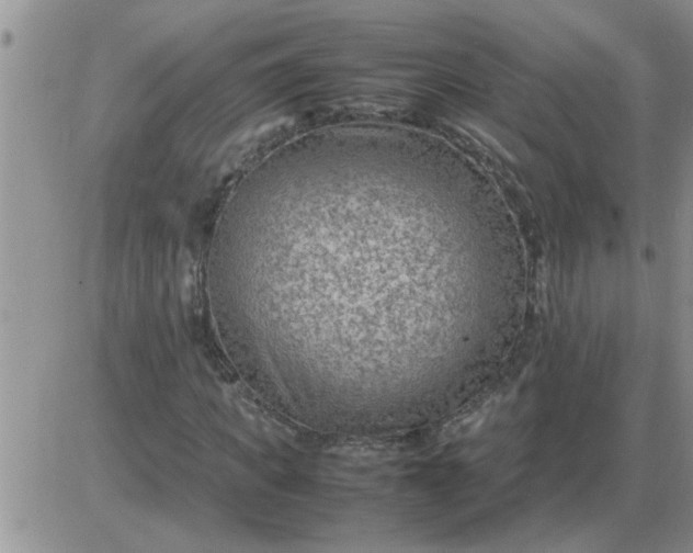 X0000085290917200703231829