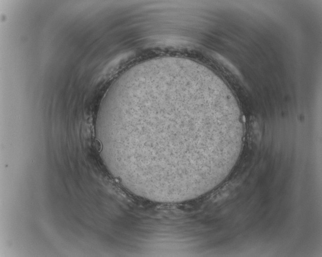 X0000085290918200703231829