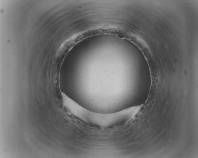 X0000085290920200703231829