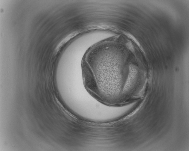 X0000085290922200703231829