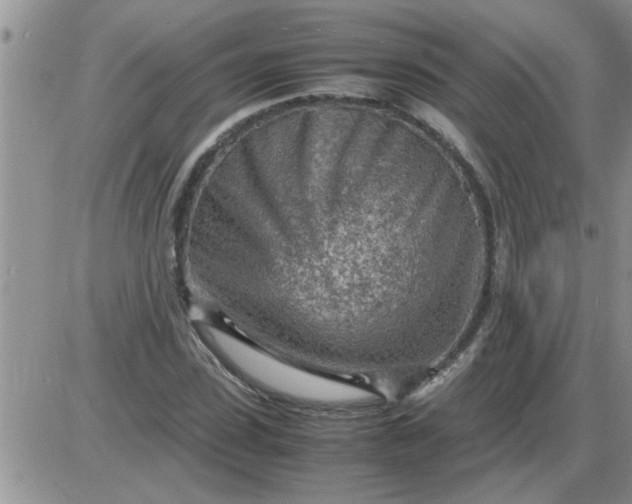 X0000085290923200703231829