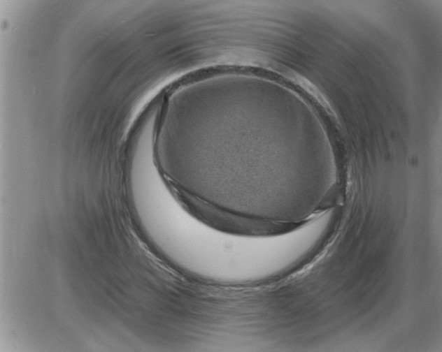 X0000085290926200703231829