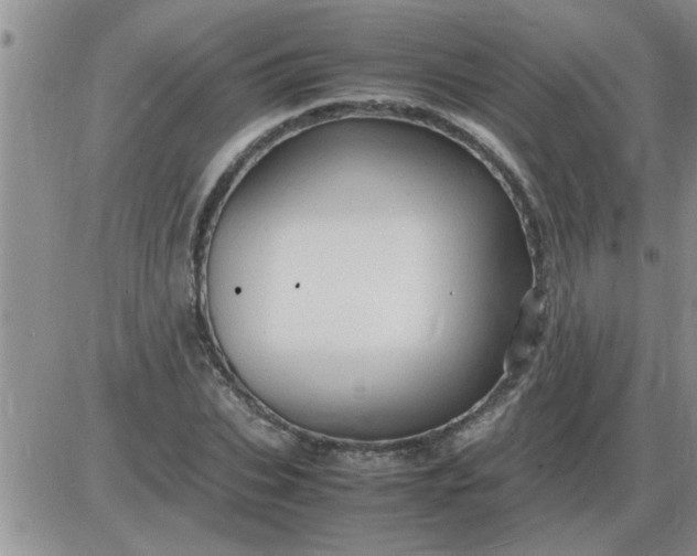 X0000085290927200703231829