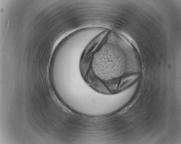 X0000085290928200703231829